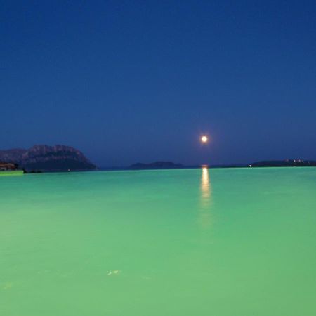 Villa And Pool Tavolara View Porto Istana Bagian luar foto