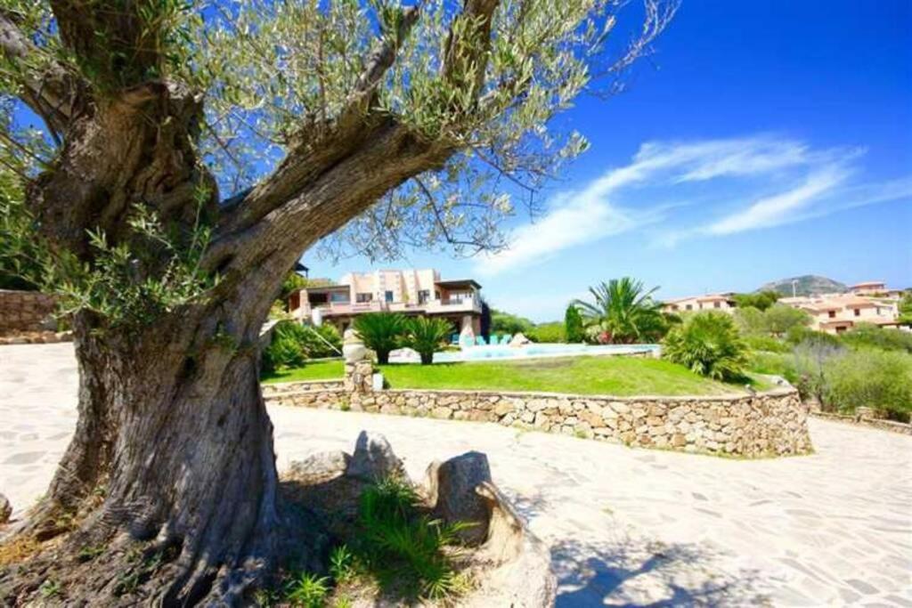 Villa And Pool Tavolara View Porto Istana Bagian luar foto