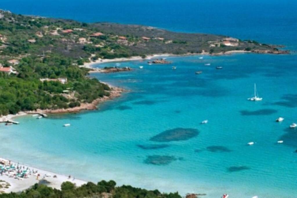 Villa And Pool Tavolara View Porto Istana Bagian luar foto