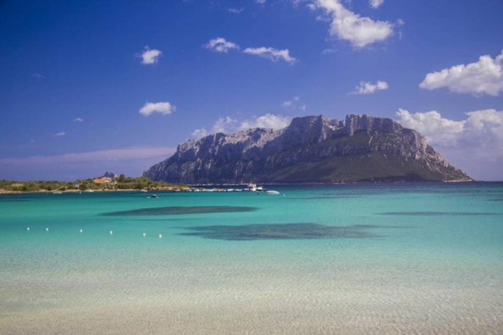 Villa And Pool Tavolara View Porto Istana Bagian luar foto