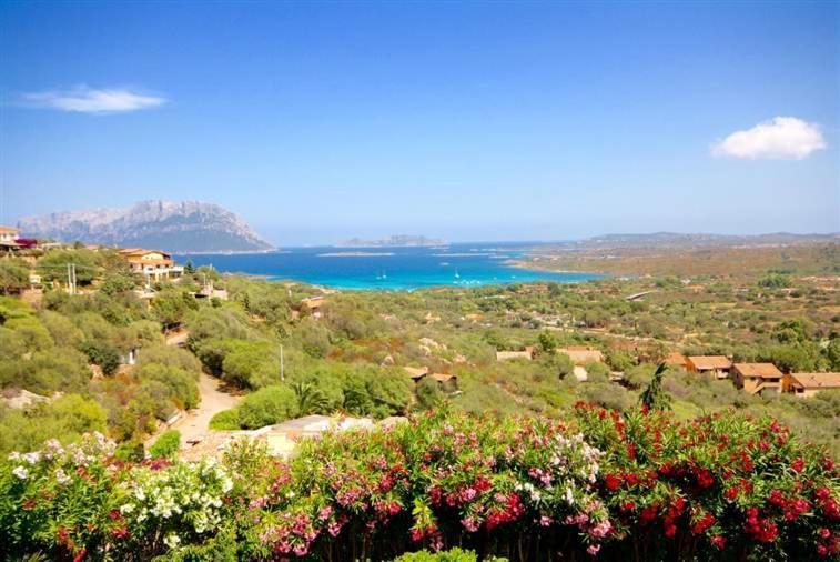 Villa And Pool Tavolara View Porto Istana Bagian luar foto